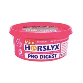 Mini Horslyx Digestion 650 gram - Godbidder/Sliksten